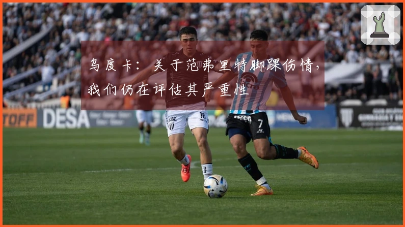 乌度卡：关于范弗里特脚踝伤情，我们仍在评估其严重性