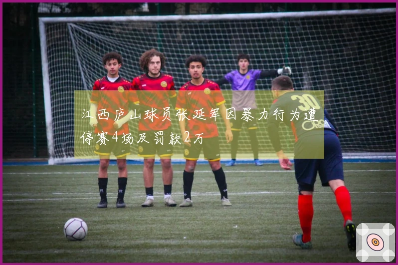 江西庐山球员张延军因暴力行为遭停赛4场及罚款2万
