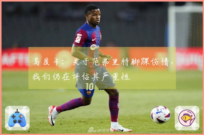 乌度卡：关于范弗里特脚踝伤情，我们仍在评估其严重性