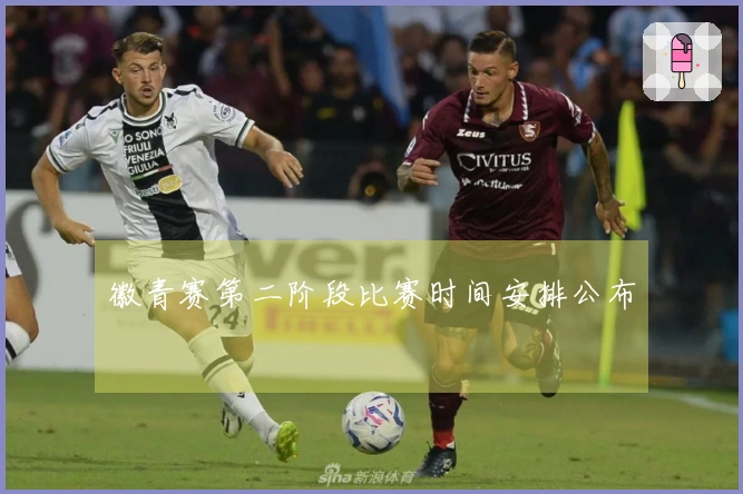 徽青赛第二阶段比赛时间安排公布