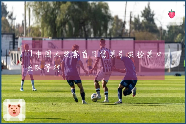 F1中国大奖赛首日售票引发检票口长队等待