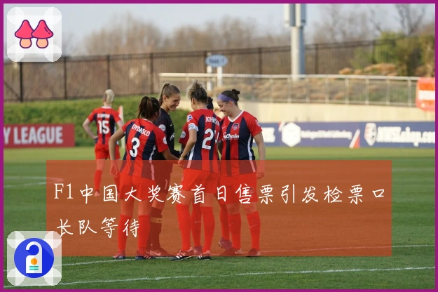 F1中国大奖赛首日售票引发检票口长队等待